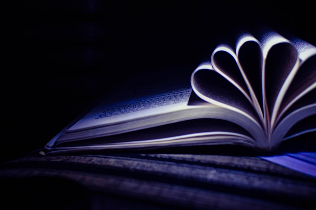 Melissa Hayes tweet media