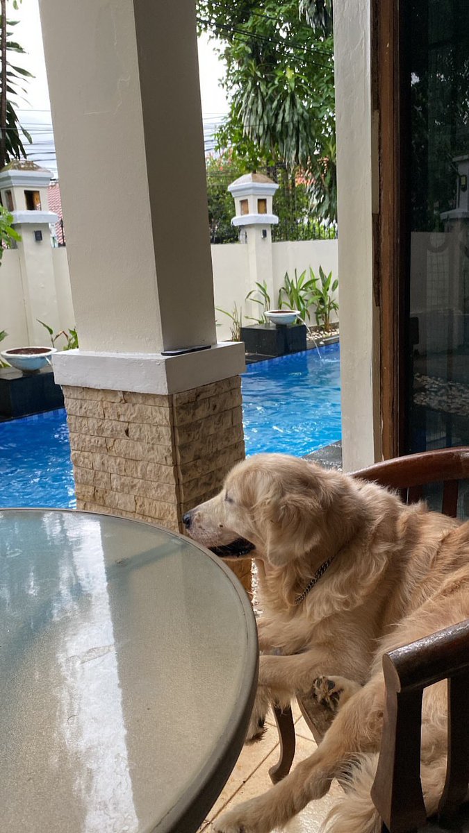 asaprosul tweet media