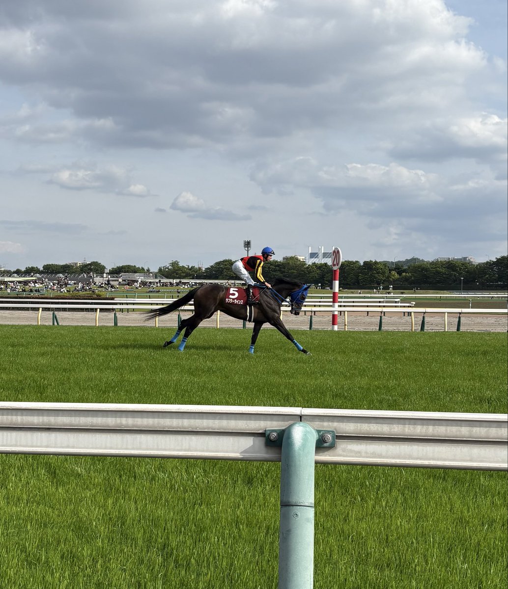 よしな tweet media