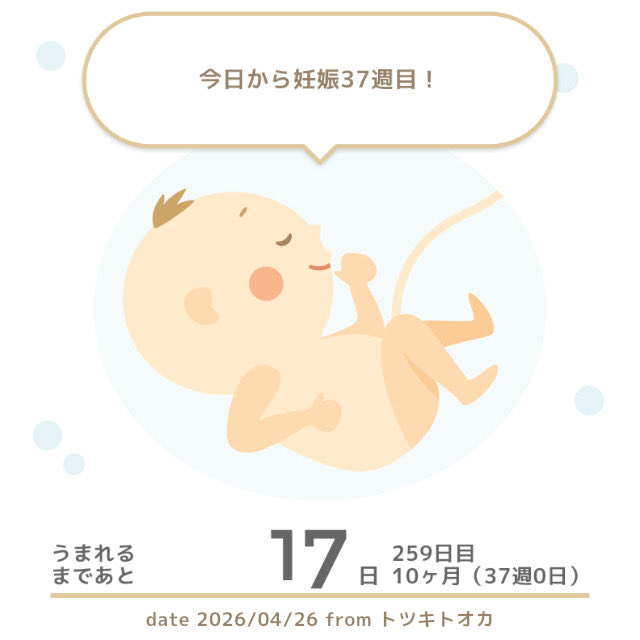 ayu☺︎3y🎀+37w🚗(R8.5予定) tweet media