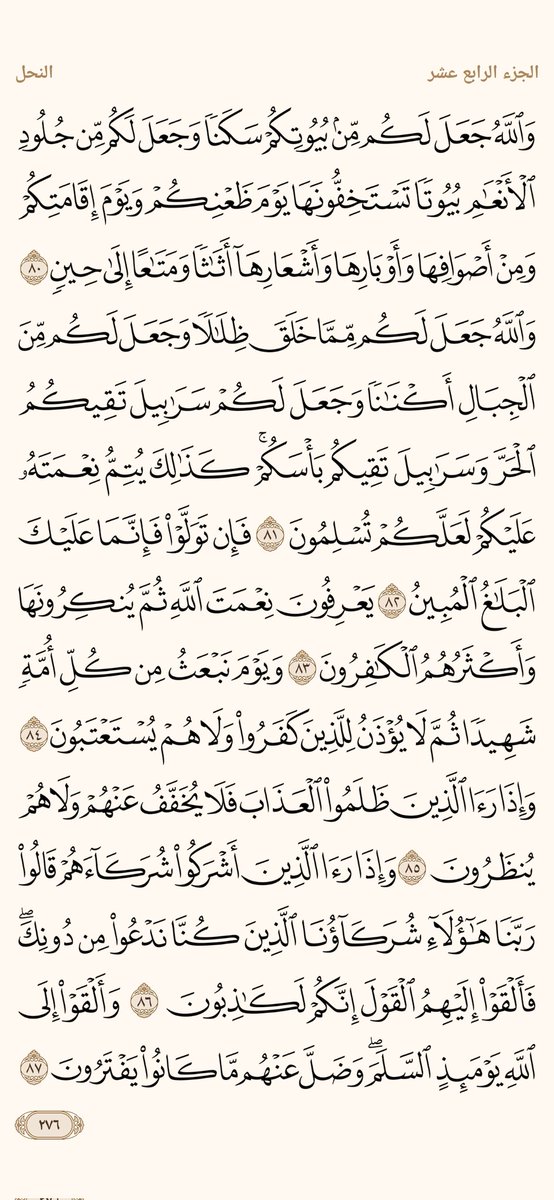 الورد اليومي tweet media