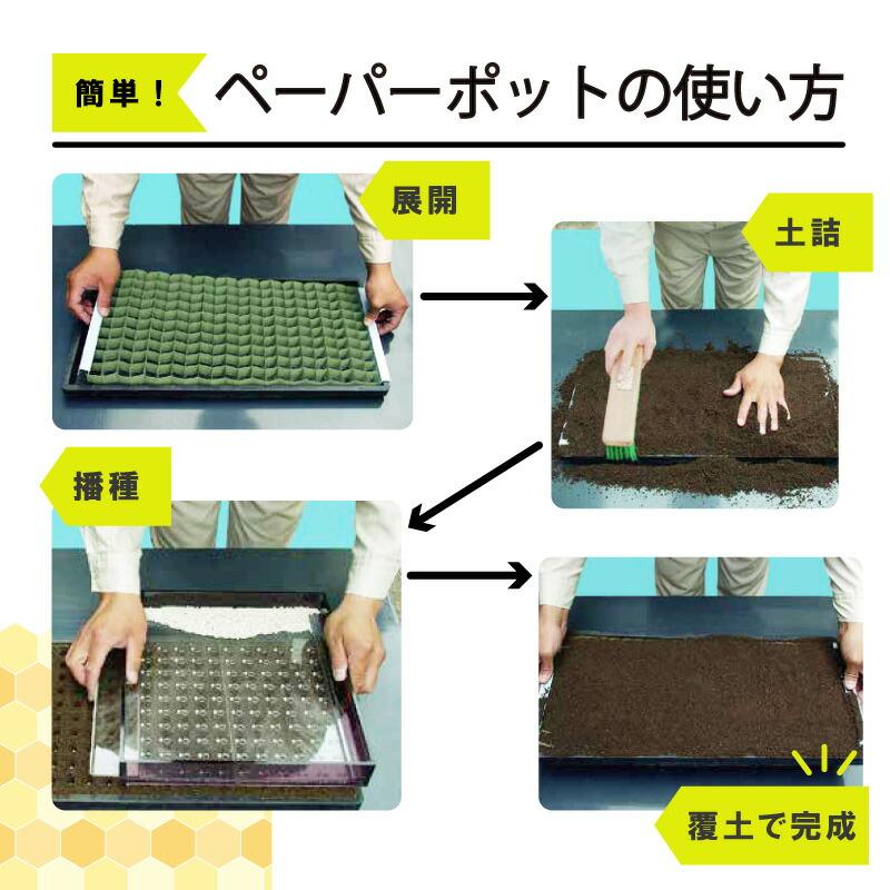 アレンジ tweet media