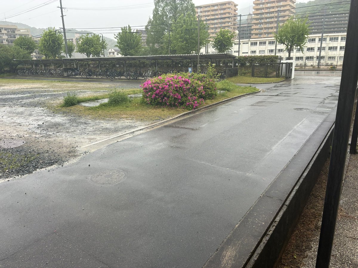 五月雨みなと tweet media