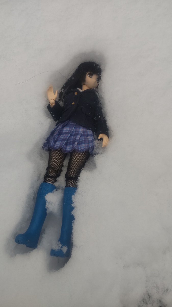 たまにゃんこ tweet media