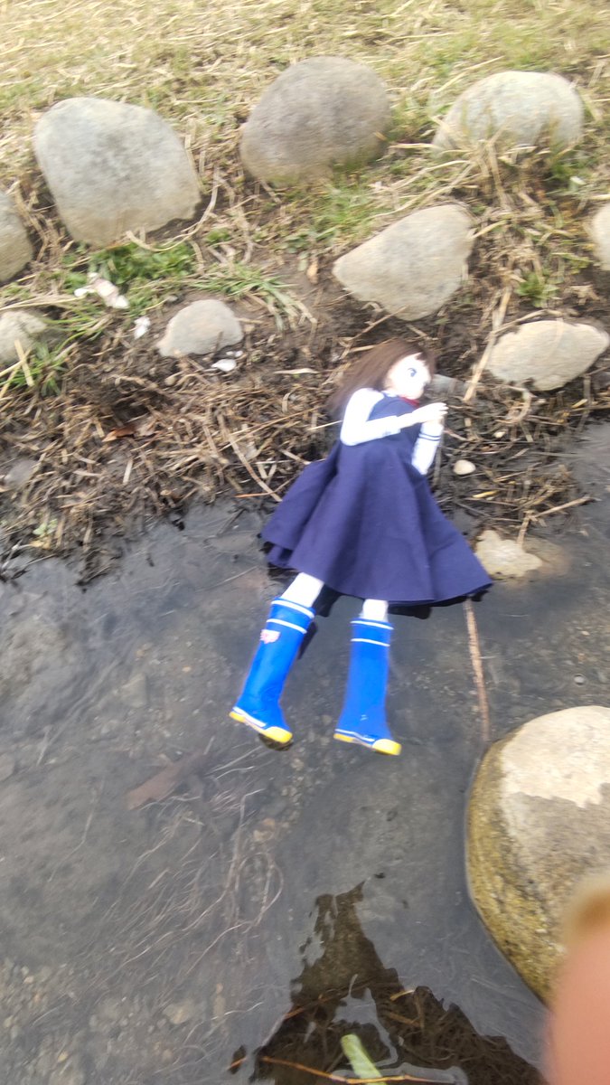 たまにゃんこ tweet media