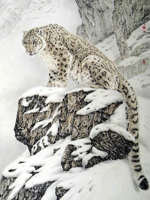 IT'S LION AND TIGERS WORLD tweet media