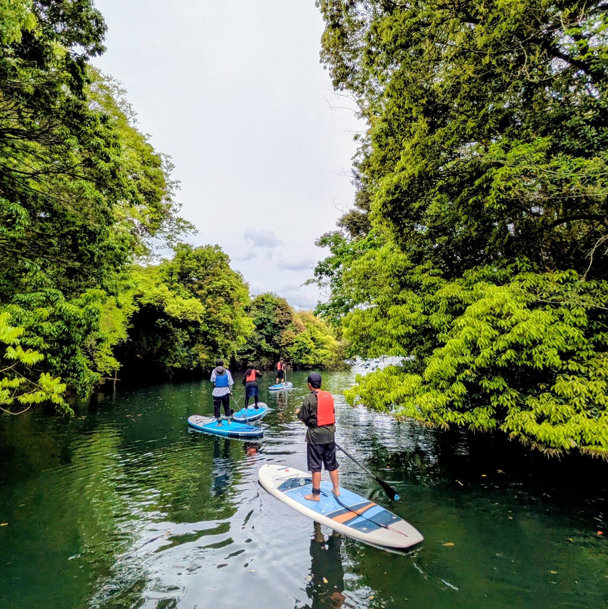 ベルデ＠アウトドアな旅行会社 tweet media