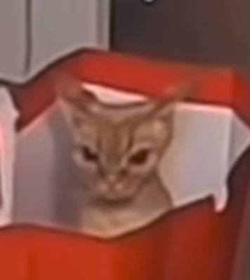 ᅠᅠᅠᅠ 𝐘 𝐔 𝐌 𝐄 tweet media