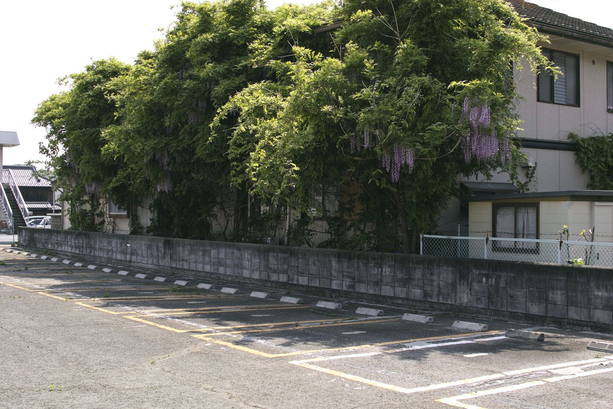 imai tomoki tweet media