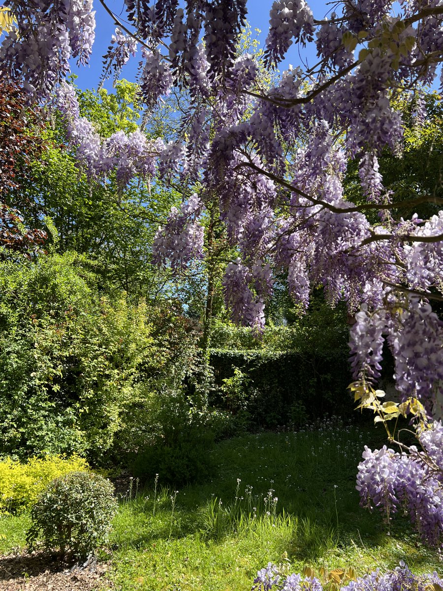 Rik Torfs tweet media