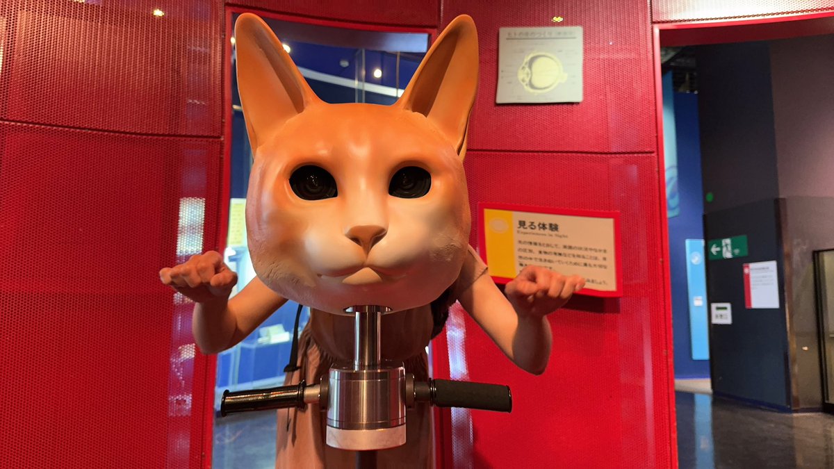 茂木博史(旧姓 酒井) tweet media
