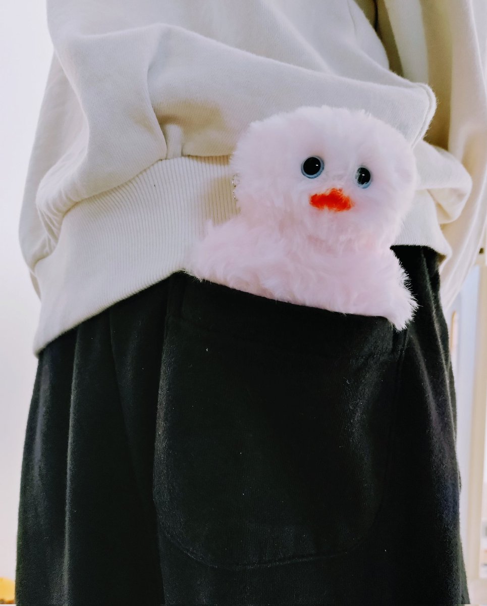 popopopo_chiko's tweet image. mojojojoぬいぐるみチャームブック届きました！
小さき鳥さん可愛すぎる。
#mojojojo