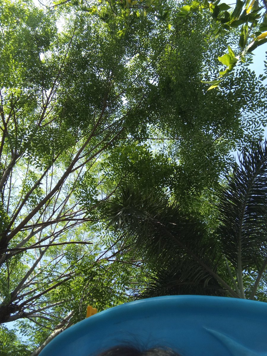 Riv | on limit tweet media