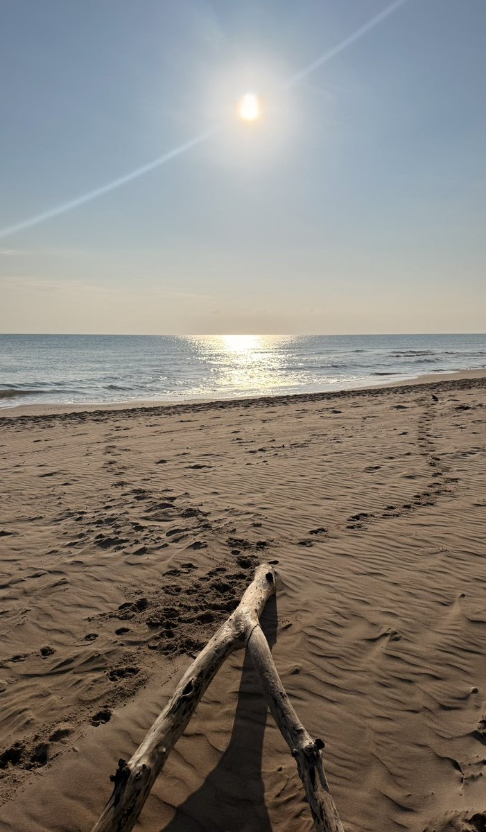 Raquelstrr1's tweet image. Lamentablemente la vida no se rebobina.
Cada momento pasa sólo una vez. Disfrutar del presente y cuidar a los nuestros es prioridad.
Decirles q los queremos,q al final,esto es lo q cuenta.
Total,q seamos disfrutones!
B🤍ndia.
#Valencia