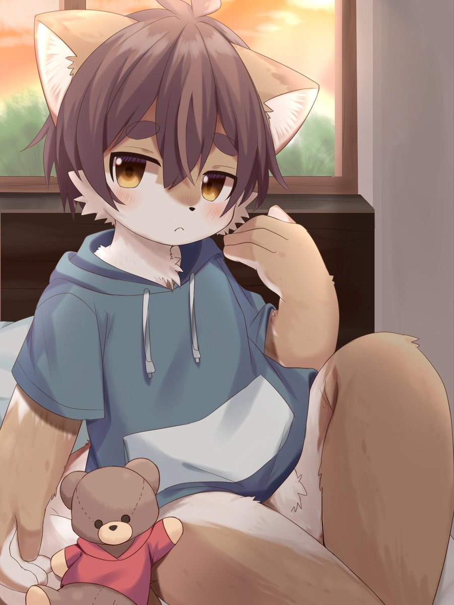 蛍烏賊ざむらい tweet media