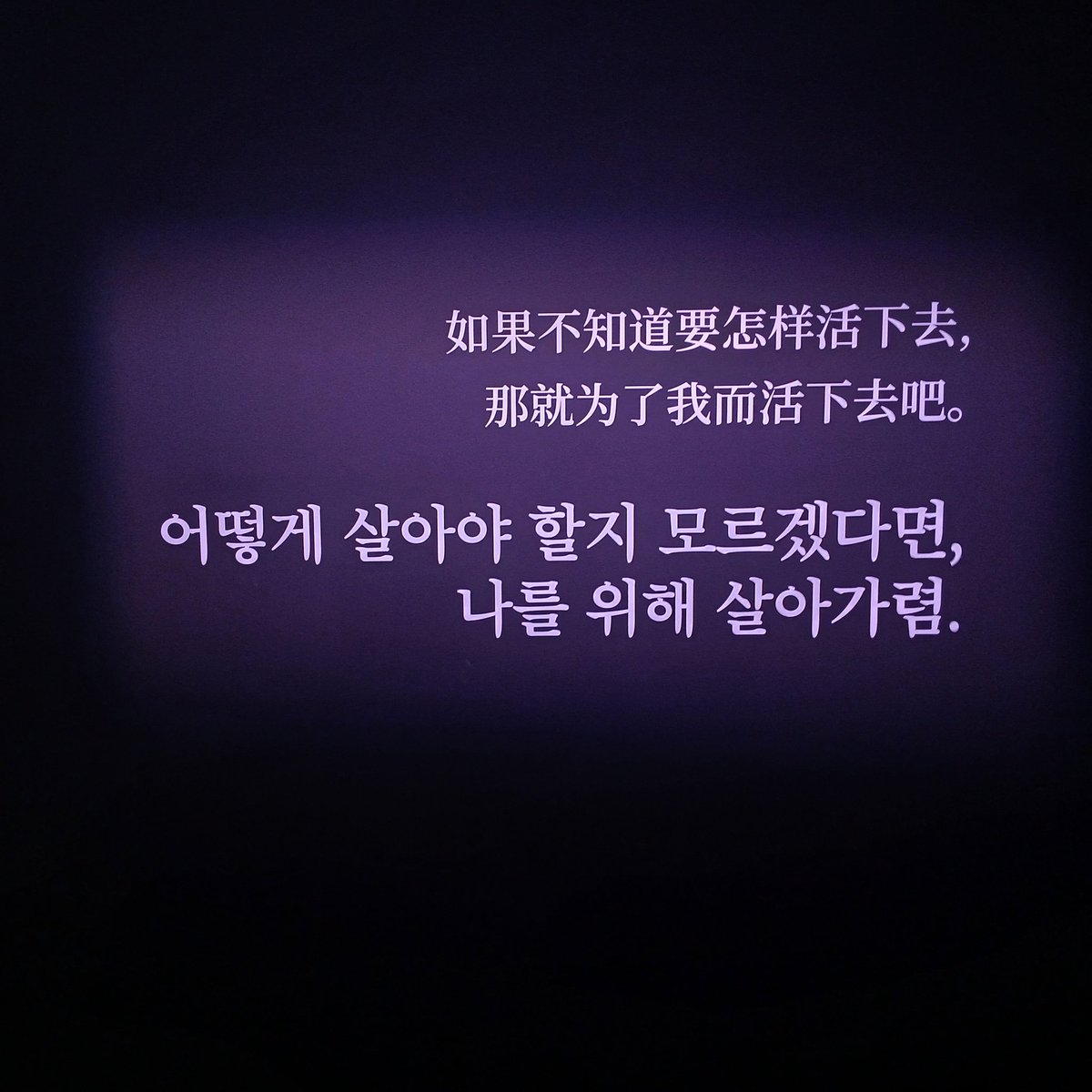 국히🍪 tweet media