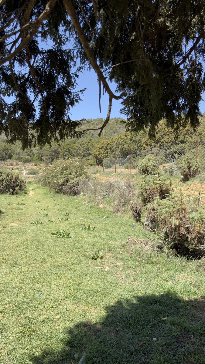 فارس بن عبدالله 🇸🇦 tweet media