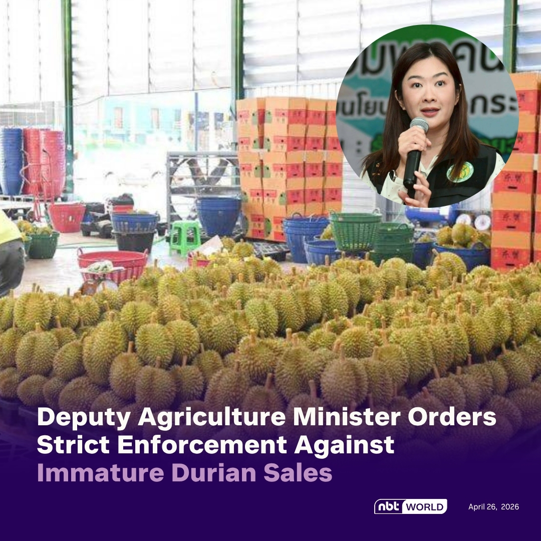 NBTWORLDNews's tweet image. The Ministry of Agriculture and Cooperatives orders stricter inspections to prevent immature durians from entering domestic and export markets.

See more: Facebook.com/nbtworld

#ThaiDurian #AgricultureThailand #QualityControl #KingOfFruits #ACFS #NBTWorld