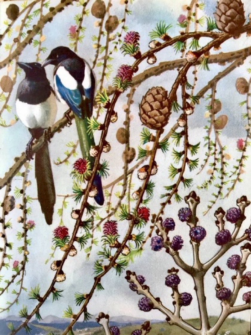 Helen Day tweet media