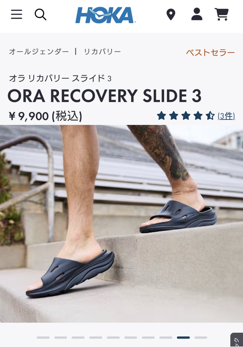 北極クマ tweet media