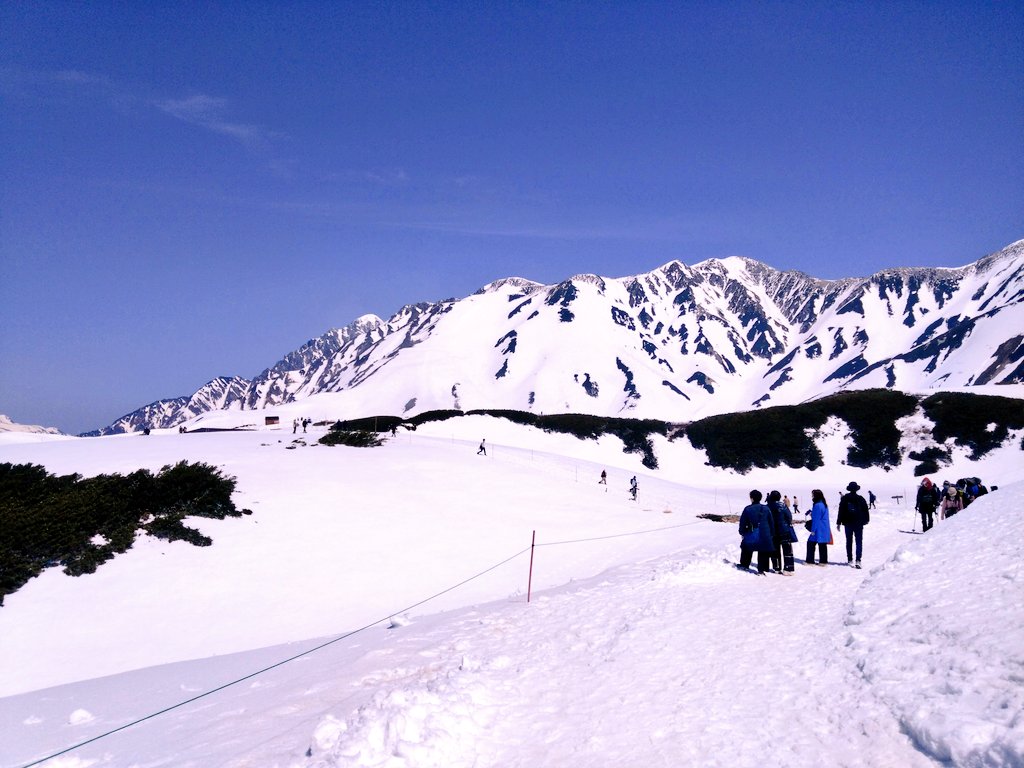 earl_4467's tweet photo. めっちゃ雪 https://t.co/Ptf93hUrpZ