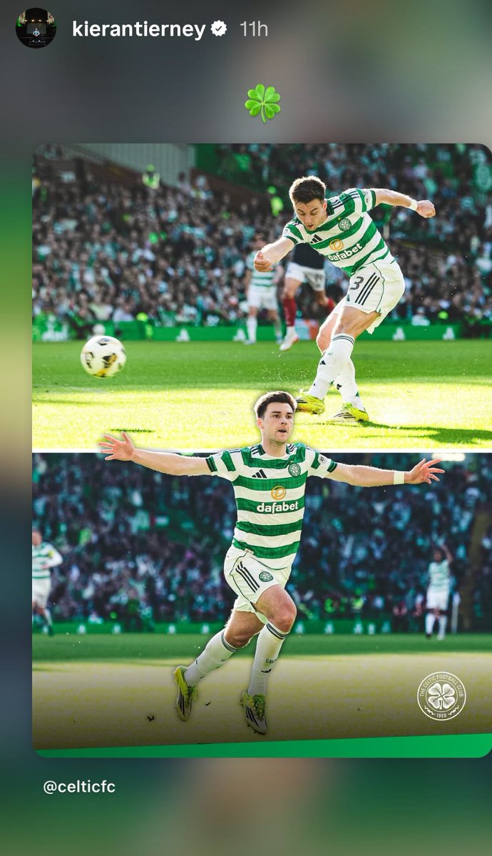 T H E ~ S H A M R O C K ☘️ tweet media