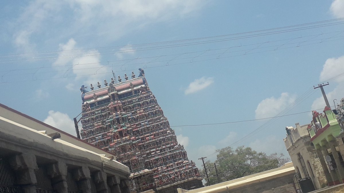 Blloom Berry tweet media