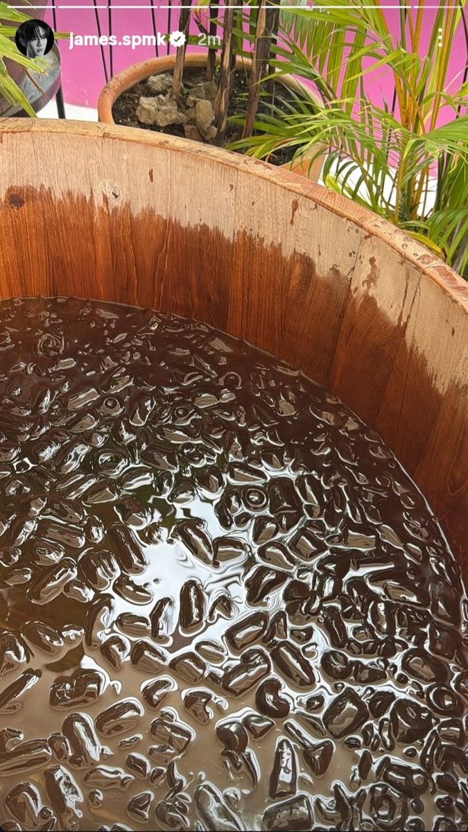 🧐🧐 looks like ice bath..

#JamesSu igs update
#jsy