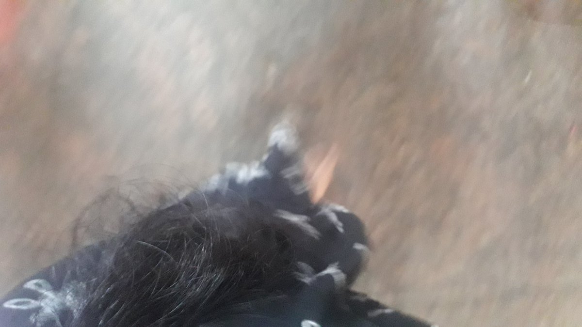 Blloom Berry tweet media