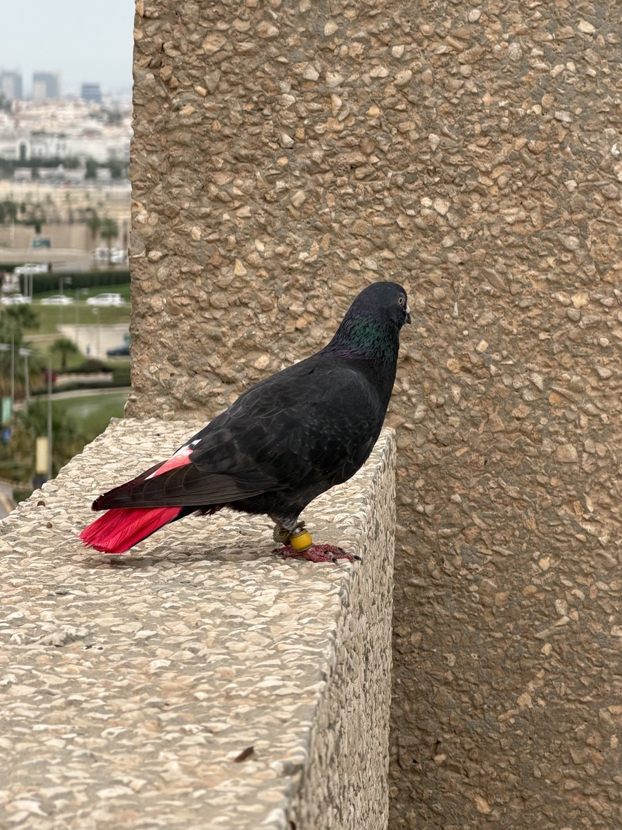 𝚉𝚊𝙸𝙽𝚊𝙱 tweet media