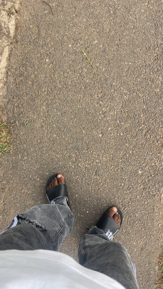 BLAQ ELF 🧝‍♂️ tweet media