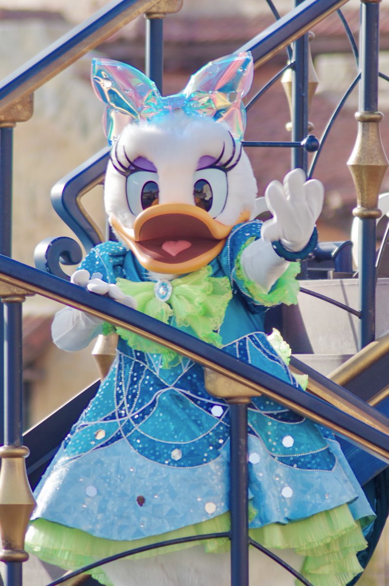 25周年可愛かった🌊
（けど、陸へ…陸へ上がってくれ…）