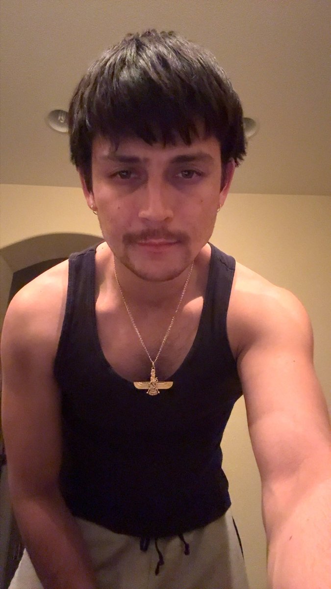 Persican Prince tweet media