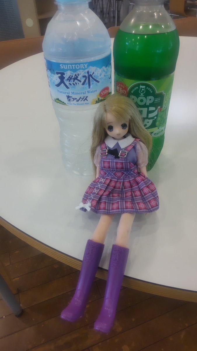 たまにゃんこ tweet media