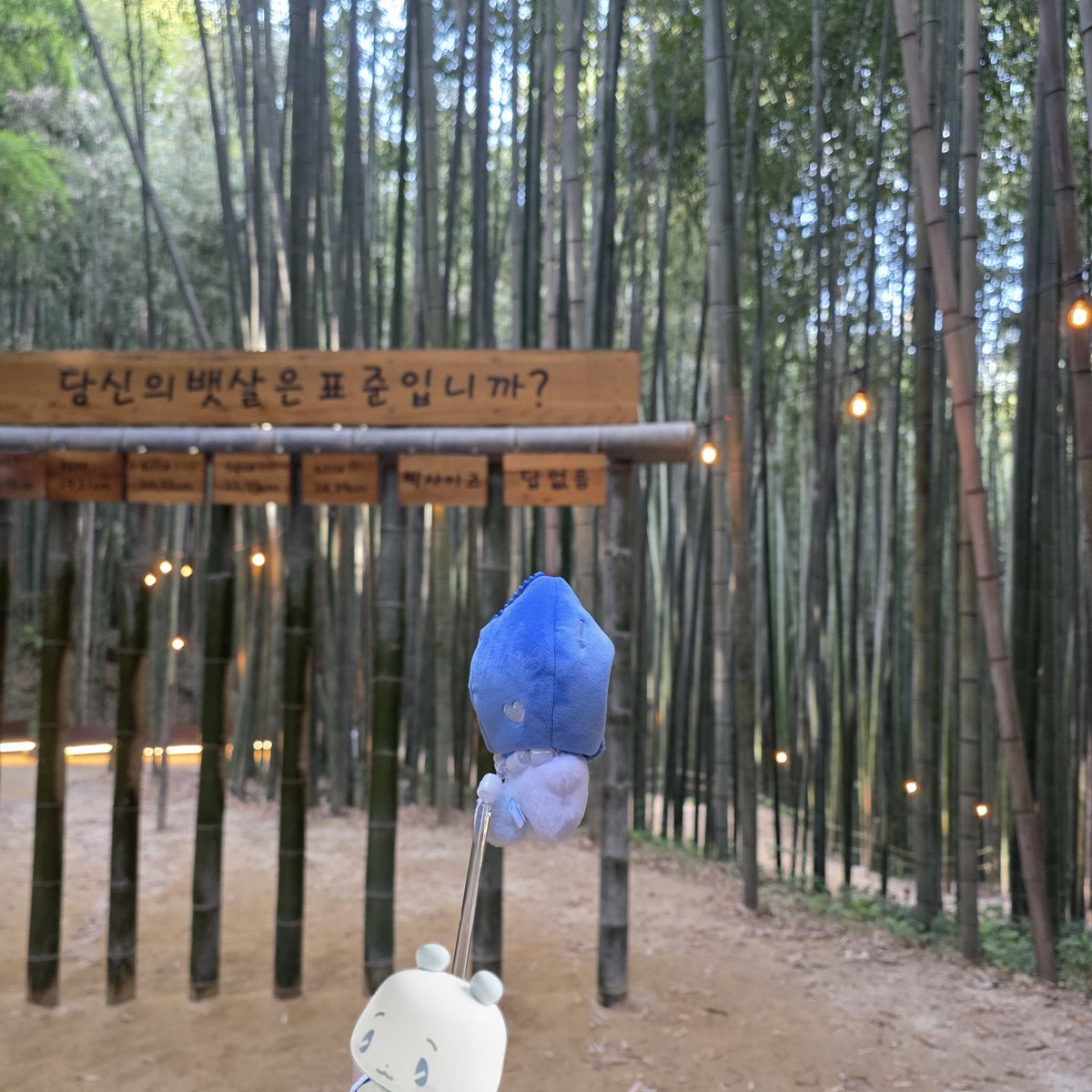 백숙🐔 tweet media