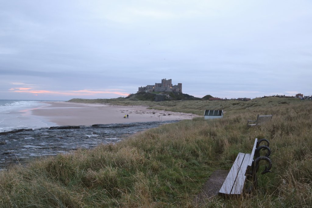 My Favourite Bench tweet media