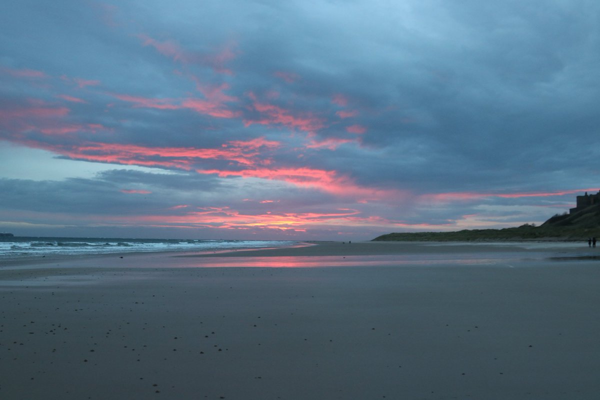 My Favourite Bench tweet media