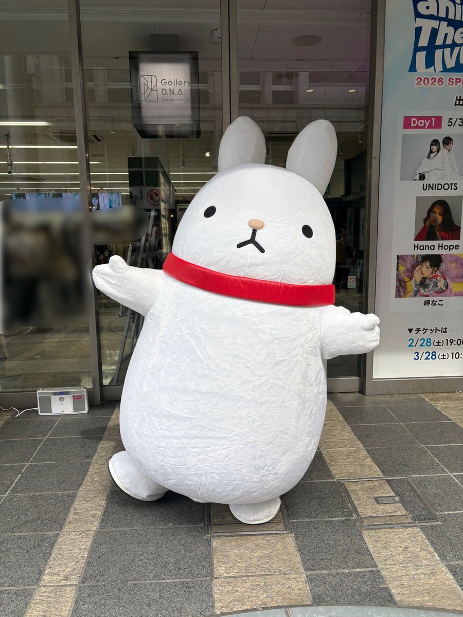 ツキコット 公式 (@tsukicot) / Posts / X