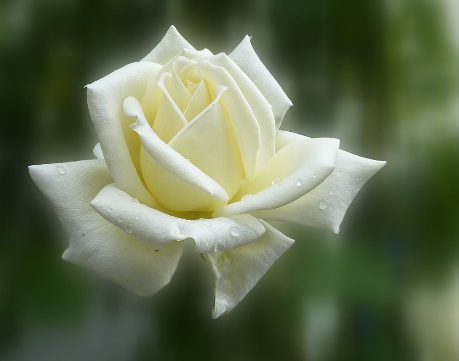 @lucia905487271 ๐ฎ๐จ ๐ด๓ ง๓ ข๓ ณ๓ ฃ๓ ด๓ ฟ tweet media