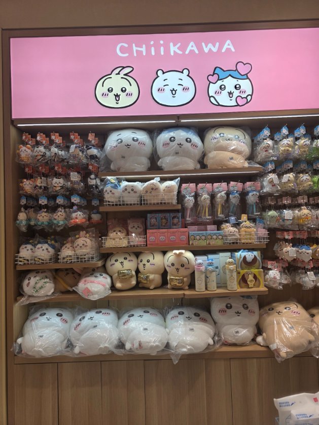 ZB1 IS 9 💙🌹 tweet media