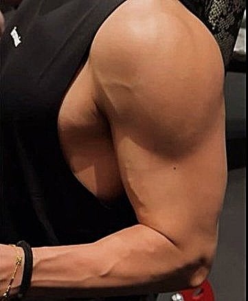 The waist                                      The belt