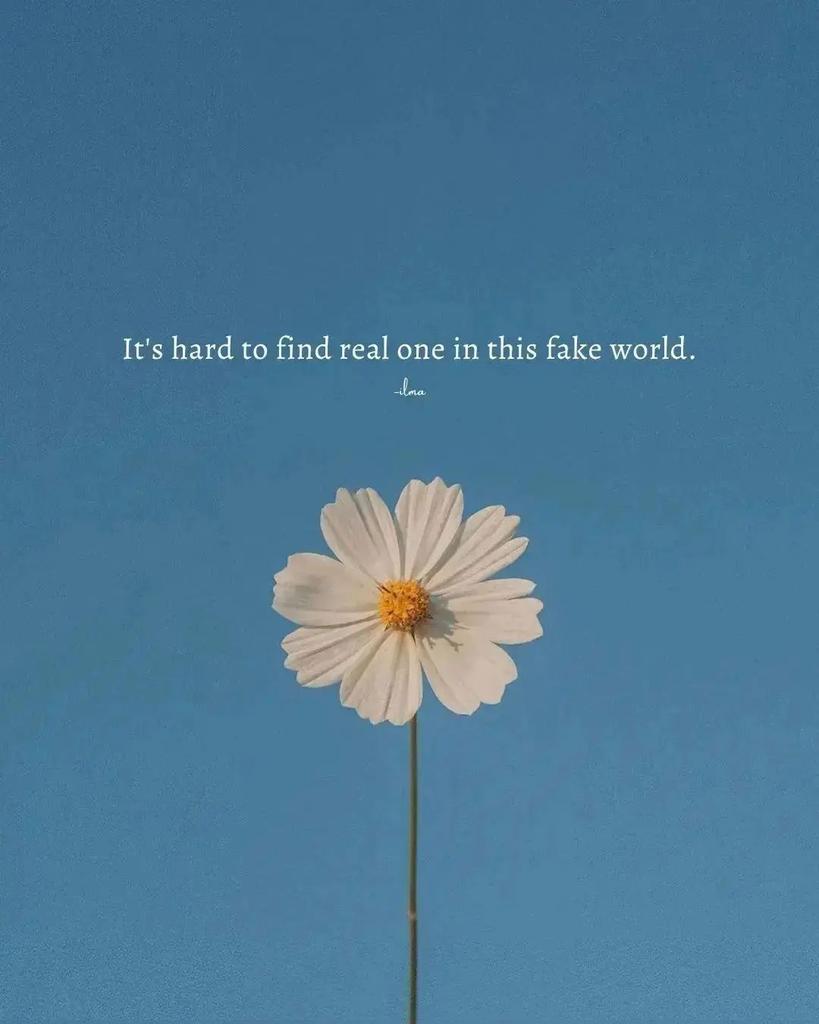 Iman Hill tweet media