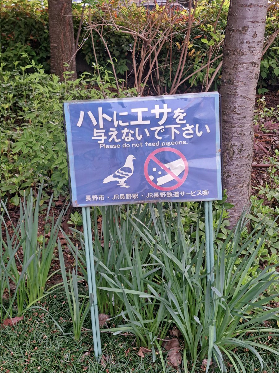 fuhotta's tweet photo. パクユナin長野駅
やっぱりパクユナの高音はスゴイ！
でも長野駅は善光寺さんから鳩がたくさん飛んでくる…
そして、パクユナは鳩がちょっとニガテ…
鳩の襲来にも負けずに歌いきったパクユナ  ありがとう！！ https://t.co/tqetnBinxL