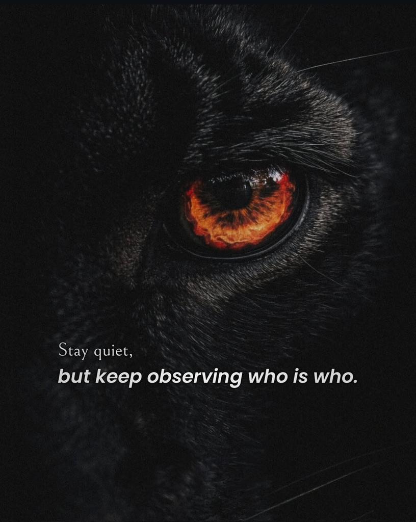 Iman Hill tweet media