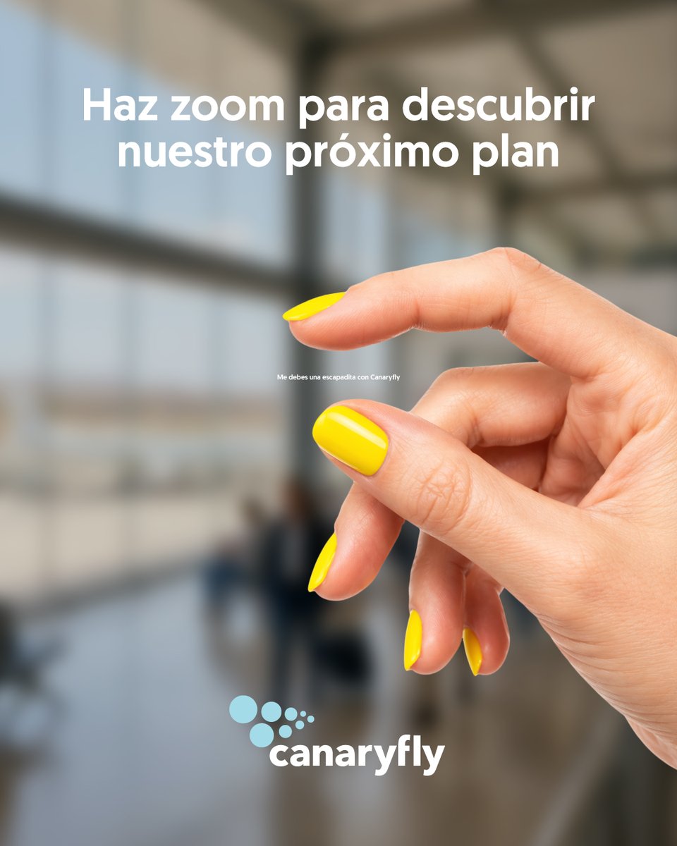Canaryfly tweet media