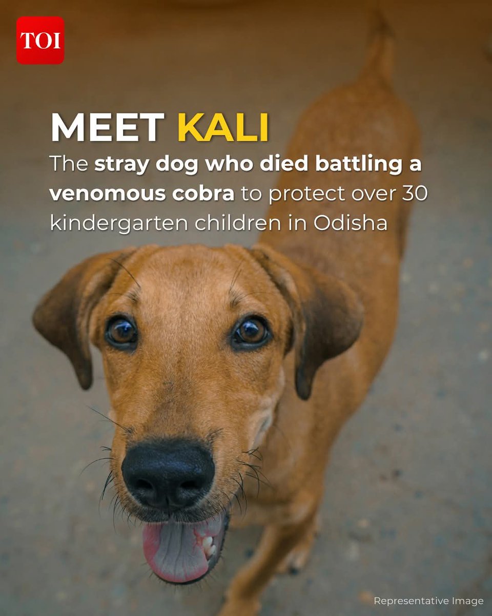 Anita  Santiago tweet media