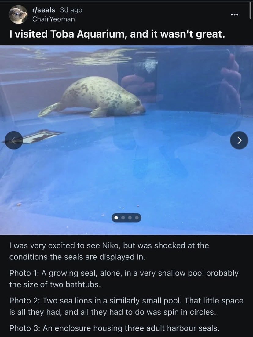 Rex 🦭 tweet media