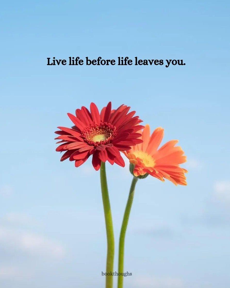 Iman Hill tweet media