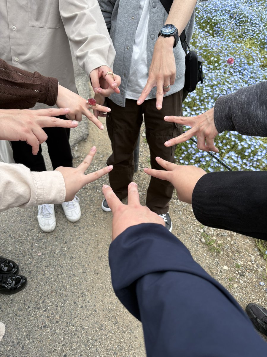 どんぐり tweet media