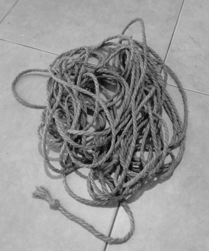 DaddyAliph tweet media